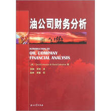 油公司财务分析