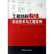 工程结构裂缝诊治技术与工程实例
