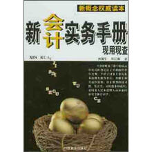 新会计实务手册