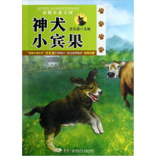 动物小说王国：神犬小宾果