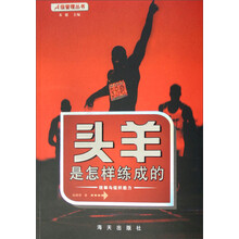 A级管理丛书：头羊是怎样练成的