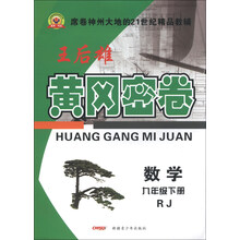 黄冈密卷：数学（9年级下）（RJ）