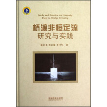 桥渡非恒定流研究与实践