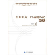 前沿理论系列丛书·企业业务：IT战略匹配研究