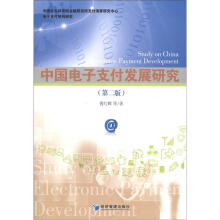 中国电子支付发展研究（第2版）