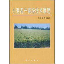 小麦高产栽培技术原理