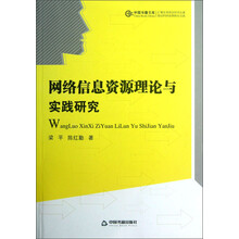 网络信息资源理论与实践研究