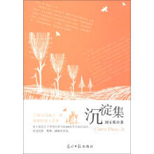 沉淀集