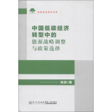 中国低碳经济转型中的能源战略调整与政策选择