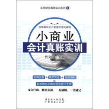 小商业会计真账实训