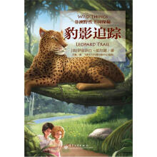 非洲野生动物王国探秘:豹影追踪