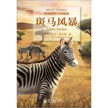 非洲野生动物王国探秘：斑马风暴