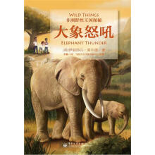 非洲野生动物王国探秘：大象怒吼