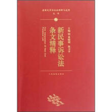 最新民事诉讼法理解与适用丛书：新民事诉讼法条文精释