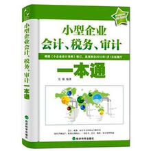 小型企业会计、税务、审计一本通