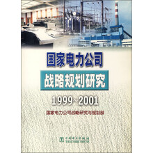 国家电力公司战略规划研究（1999-2001）