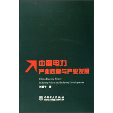 中国电力产业政策与产业发展