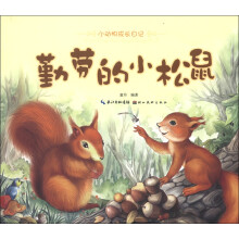 小动物成长日记:勤劳的小松鼠