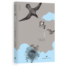 大自然的诗：鸟