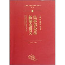 最新民事诉讼法理解与适用丛书：民事诉讼法新制度讲义