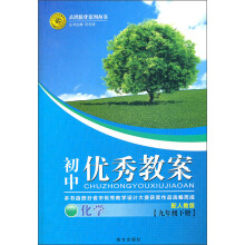 初中优秀教案·9年级化学下册（配人教版）