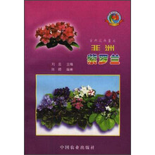非洲紫罗兰：室内花卉皇后