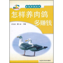 怎样养肉鸽多赚钱