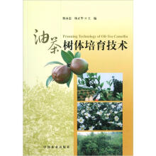 油茶树体培育技术