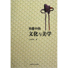 夹缝中的文化与美学