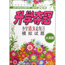 升学夺冠：小学语文总复习模拟试题（人教版）