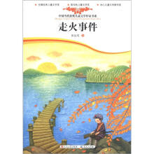 中国当代获奖儿童文学作家书系:走火事件