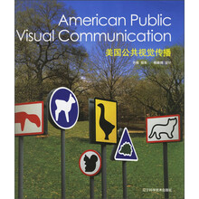 美国公共视觉传播