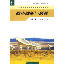 同步解析与测评:物理(8年级)(下册)(人教版)