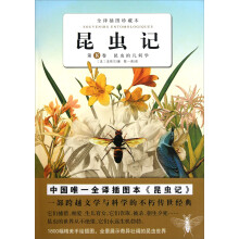 全译插图珍藏本·昆虫记（第8卷）：昆虫的几何学