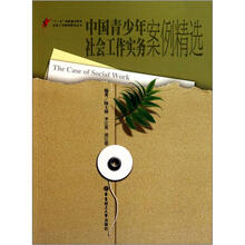 中国青少年社会工作实务案例精选