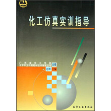 化工仿真实训指导
