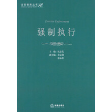 法官智库丛书:强制执行