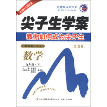 尖子生学案:数学(9年级下)(新课标人教版)(升级版)(2013春)