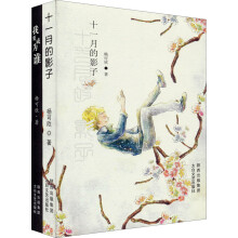 杨可欣丛书（套装共2册）