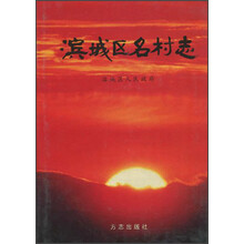 滨城区名村志