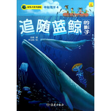 出生入死大冒险·神秘海洋4：追随蓝鲸的影子