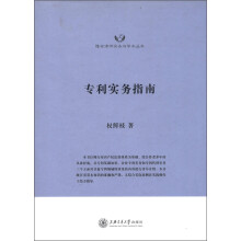 隆安律师实务与学术丛书：专利实务指南