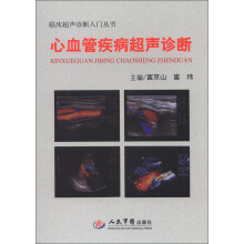 临床超声诊断入门丛书：心血管疾病超声诊断