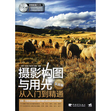 摄影构图与用光从入门到精通（实战版）（附光盘）
