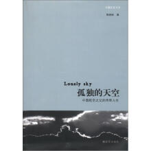 长篇纪实文学：孤独的天空