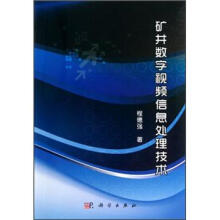 矿井数字视频信息处理技术