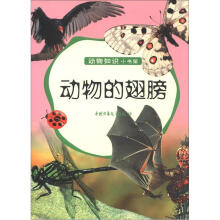 动物知识小书架：动物的翅膀