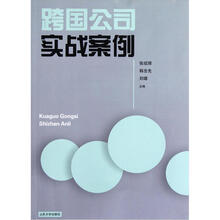 跨国公司实战案例