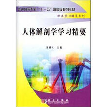 人体解剖学学习精要