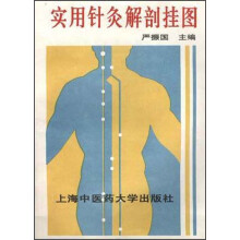 实用针灸解剖挂图